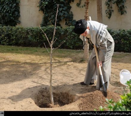 نهضت ملی درختکاری جدی گرفته شود و ادامه یابد